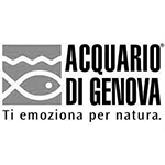 acquario