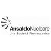 ansaldo_nucleare